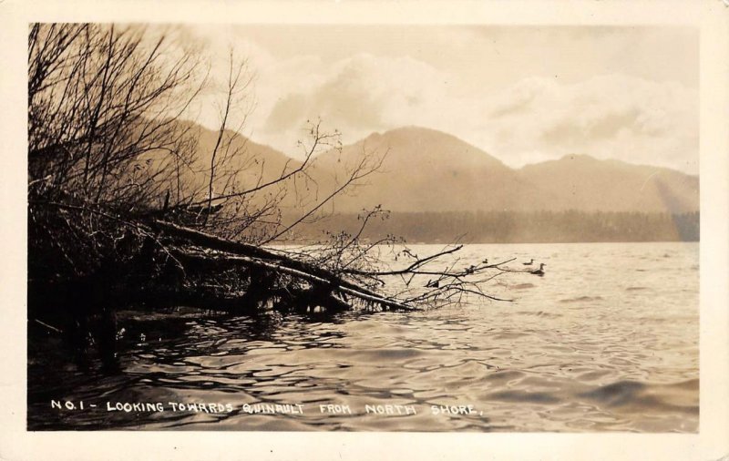 RPPC Lake Quinault From North Shore, Washington c1920s Vintage Photo Postcard