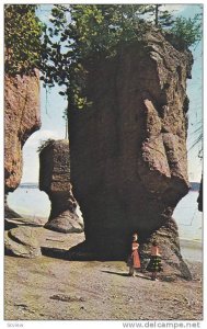 The Rocks, Hopewell Cape, New Brunswick, Canada, PU-1971