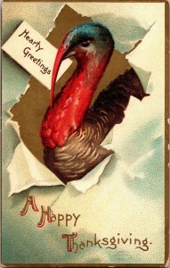 Happy Thanksgiving, Hearty Greetings from Turkey Embossed Vintage Postcard D65