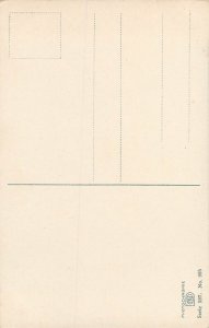 Postcard flowers daisies