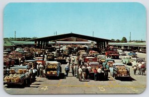 Benton Harbor MI More Pickup Trucks Than You Can Shake A Celery Stick At~Market