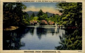 A Mountain Stream - Independence, Virginia