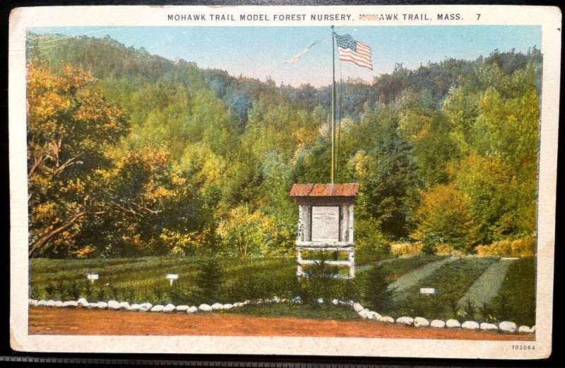 Vintage Postcard 1925 Model Forest Nursery, Mohawk Trail, Massachusetts (MA)