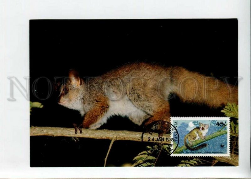 3132590 WWF TANZANIA Lemur old 4 postcards MAXIMUM CARD 1989