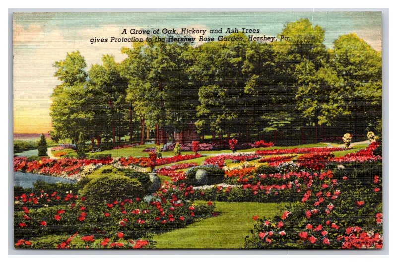 Hershey Rose Garden and Grove Hershey Pennsylvania PA UNP Linen Postcard Y13