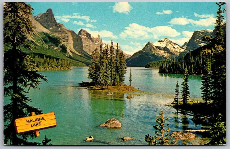 Vtg Alberta Canada Maligne Lake Jasper National Park Postcard