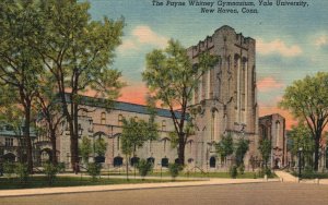 Vintage Postcard The Payne Whitney Gymnasium Yale University New Haven Conn. CT