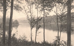 Vintage Postcard Green Water Pond Pasumpsic Lake Landmark Lee Massachusetts MA