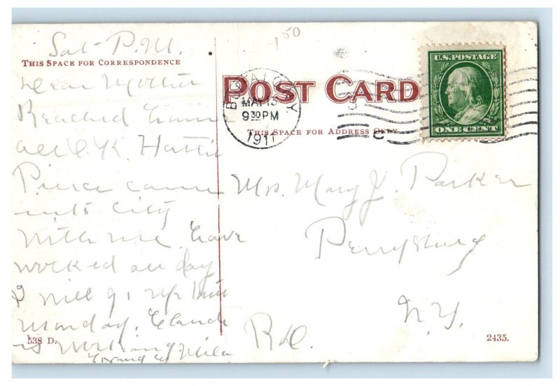 1911 Polar Bear, Zoo, Buffalo New York NY Posted Antique Postcard
