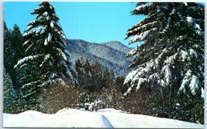 Postcard - Winter Scene, Great Smoky Mountains National Park - Tennessee