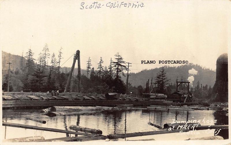 SCOTIA, CALIFORNIA DUMPING LOGS AT MILL A RPPC REAL PHOTO POSTCARD