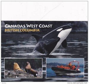 Orca / Killer Whale, West Coast , B.C. , Canada , 60-80s 1/3