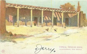 Albuquerque New Mexico Typical Mexican Home 1908 Postcard 21-13485