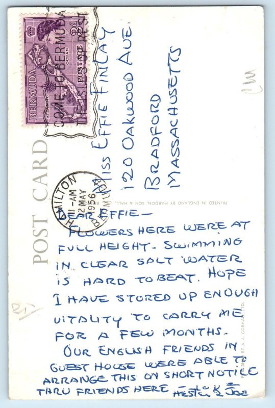 Bermuda Postcard The Ledgelets Tropic Glen Cottage 1956 Vintage Posted