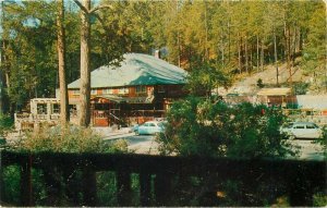 Arizona Summerhaven Mt Lemmon Lodge 1950s Petley Davis Postcard 22-2842