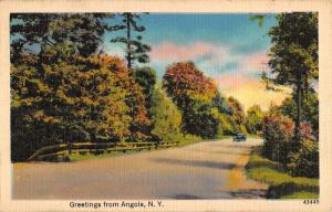 Angola New York Scenic Roadway Greeting Antique Postcard K91678 