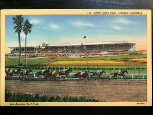 Vintage Postcard 1946 Santa Anita Park Arcadia L.A. Turf Club California (CA)