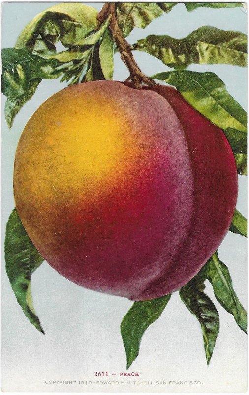 Giant Peach 1910