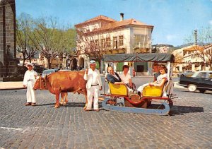 Tipico carro de bois Funchal 1968 