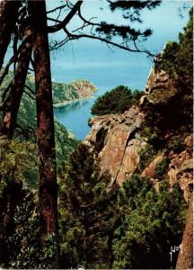 CPM CORSE - Les Calanques. Ravin encadré de magnifiques roches (711043)