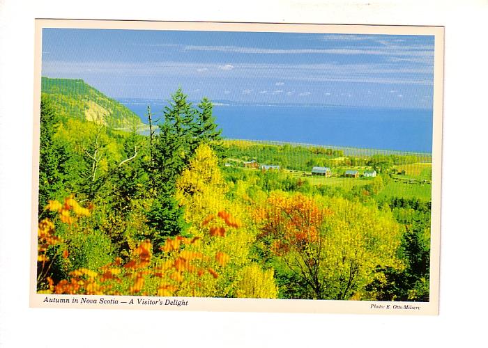 Coastal Farm Trees, Autumn in Nova Scotia, The Book Room Photo E Otto Milserv