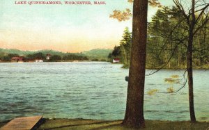 Vintage Postcard 1909 Lake Quinsigamond Worcester Massachusetts Nature MA