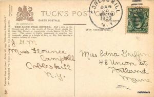 1903 Yellowstone National Park Wyoming Lone Star Geyser Tuck postcard 567