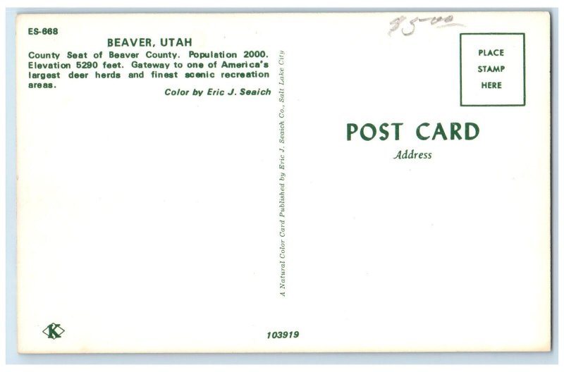 c1960s Greetings From Beaver Largest Deer Herd Utah UT Unposted Vintage Postcard