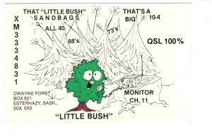 That Little Bush Sandbags, Esterhazy, Saskatchewan, QSL Postcard