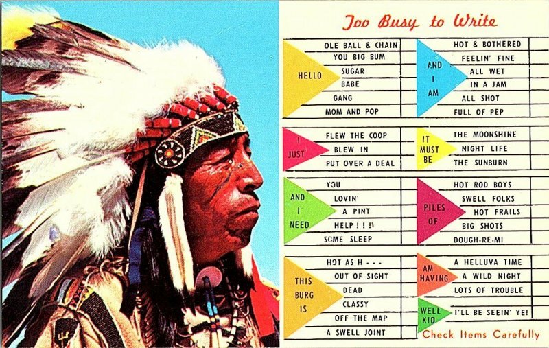 Indian Chief To Busy To Write Vintage Postcard Standard View Card