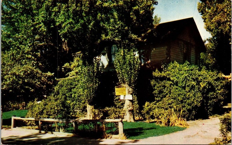 Home Lola Montez Grass Valley California CA Postcard VTG UNP Mike Roberts Unused 