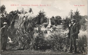 Rotorua New Zealand Sanatorium Grounds Unused Muir Moodie 4183 Postcard H15