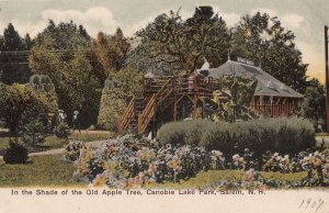 Postcard In Shade of Old Apple Tree Canobie Lake Park Salem NH