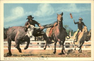 Calgary Alberta Stampede Steer Decorating c1930-50s Vintage Postcard