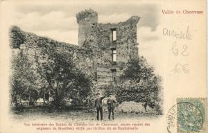 CPA Vallée de CHEVREUSE-Vue interieure des Ruines du Chateau-fort (260539)