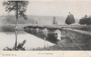 Rural Bridge over Tioughnioga River - Homer NY, New York - pm 1917 - UDB