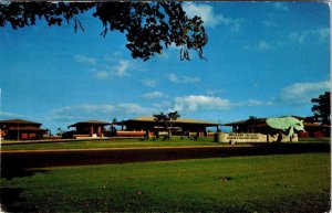 Maui, HI Hawaii  WHALERS VILLAGE  Lahaina Shopping Center/Museum  1975 Postcard