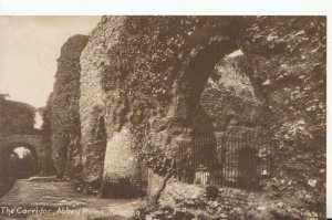 Berkshire Postcard - The Corridor - Abbey Ruins - Reading - Berkshire  Ref 8322A