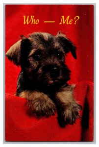 Who - Me? Dog Puppy Postcard 