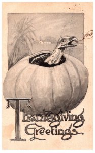 Thanksgiving , turkey in pumpkin