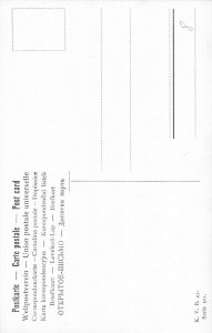 Winter Scenic View Cliffs Landscape Art signed Fritz Bayerlein postcard