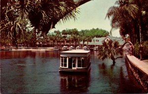 Florida Silver Springs Glass Bottom Boat