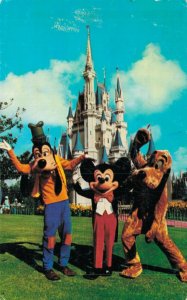 Walt Disney World Florida Mickey Mouse And Pals Fantasyland Postcard 02.96