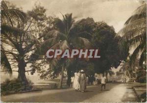  Modern Postcard Guinea Conakry the Cornice