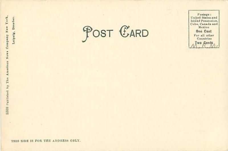 Fourth Lake Fulton Chain Adirondack Mountains, Houses, Man in Canoe UDB Postcard