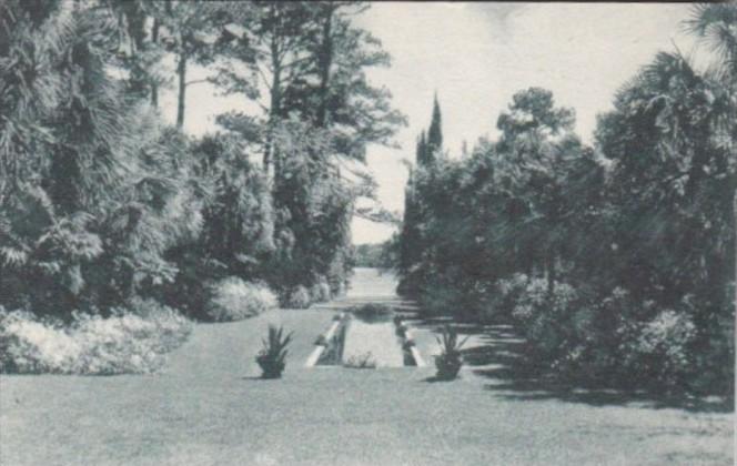 Florida Tallahassee Pool In Killearn Gardens Albertype