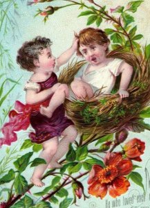 1880's Lovely Embossed Easter Baby Kids Bird's Nest Motto Trade Card P142