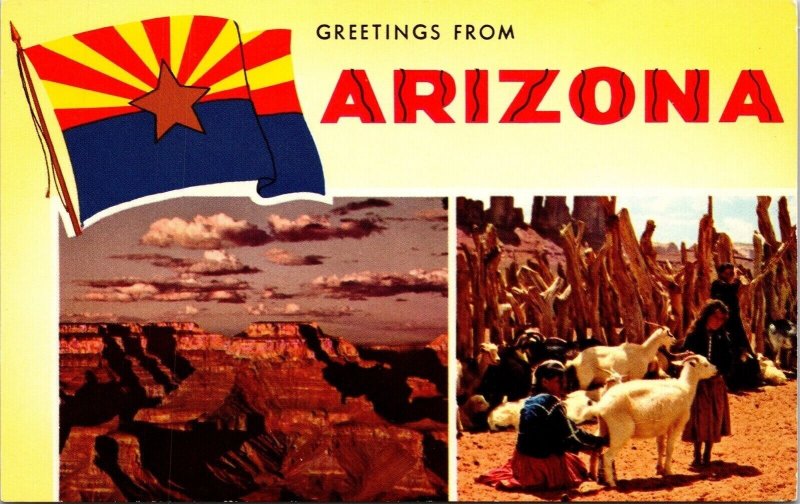 Greetings From Arizona Grand Canyon Dual View Postcard VTG UNP Petley Vintage  