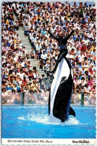 Postcard - Spectacular Jump Steals The Show, Shamu - Sea World