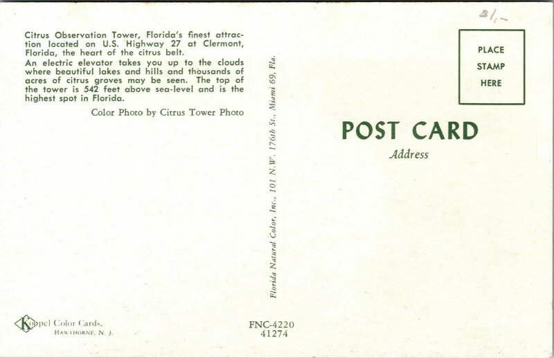 Vtg Clermont Florida FL Citrus Observation Tower 1950s Postcard